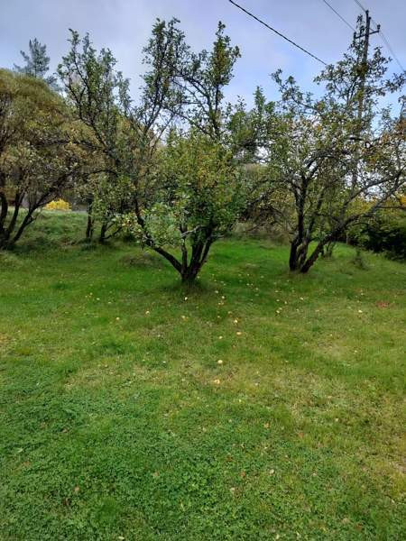 4h + k + s  Luumäki - photo 2