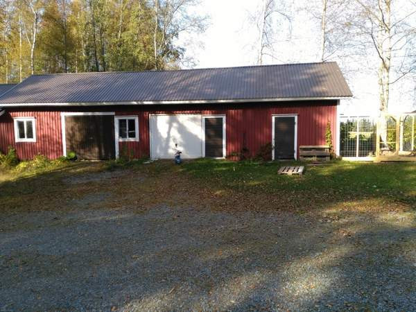 5h  Soini - valokuva 2