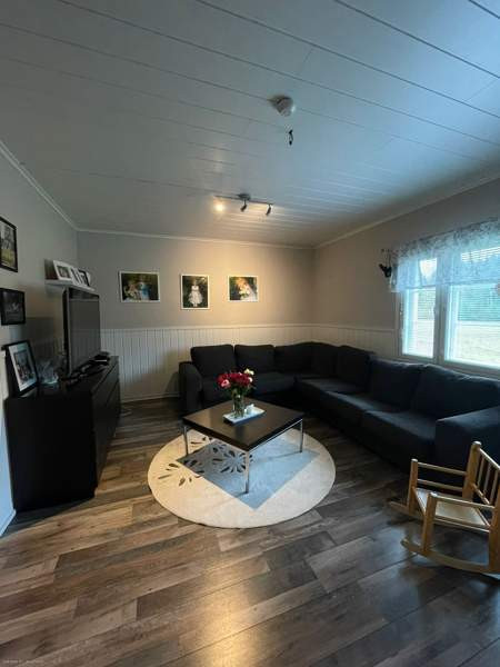 5h  Soini - valokuva 6