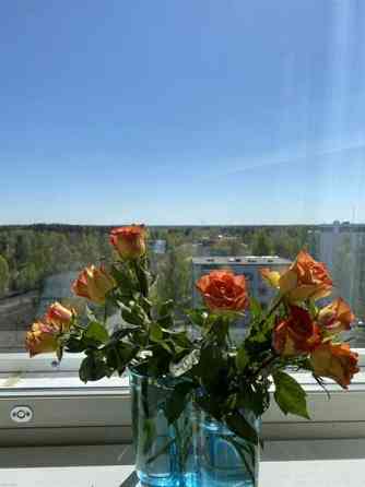 1 valoisa huone + keittiö + kylpyhuone + vaatehuon  Hyvinge