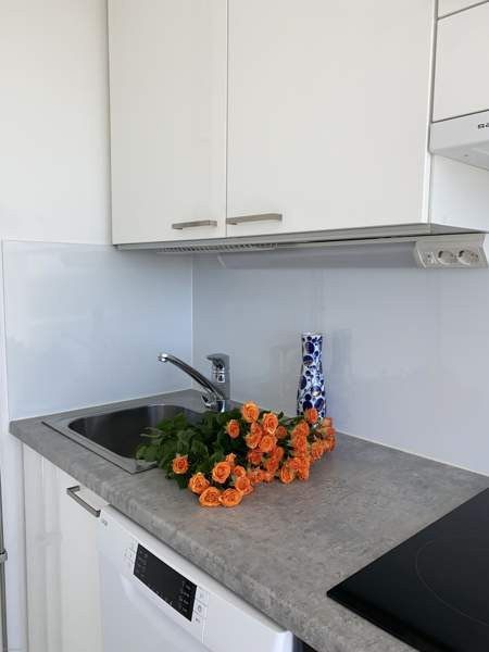 1 valoisa huone + keittiö + kylpyhuone + vaatehuon  Hyvinkää - valokuva 7