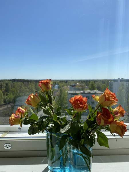 1 valoisa huone + keittiö + kylpyhuone + vaatehuon  Hyvinkää - valokuva 1