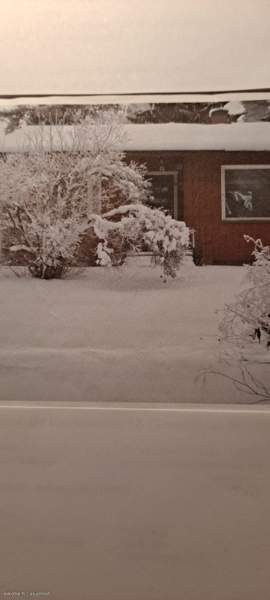 3h + avok  Pyhäjärvi - valokuva 4