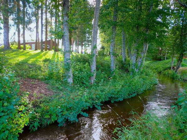 4h + k+ s + psh  Ylihärmä – foto 3