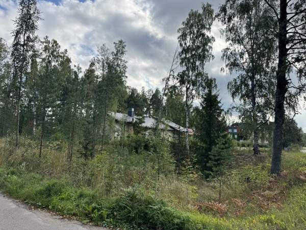 Tontti  Imatra - valokuva 2