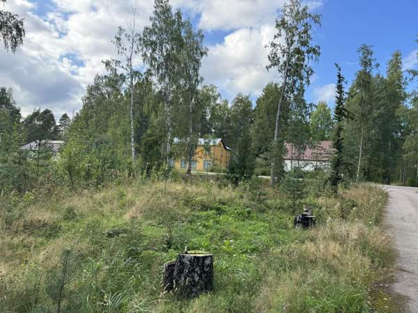 Tontti  Imatra - valokuva 1