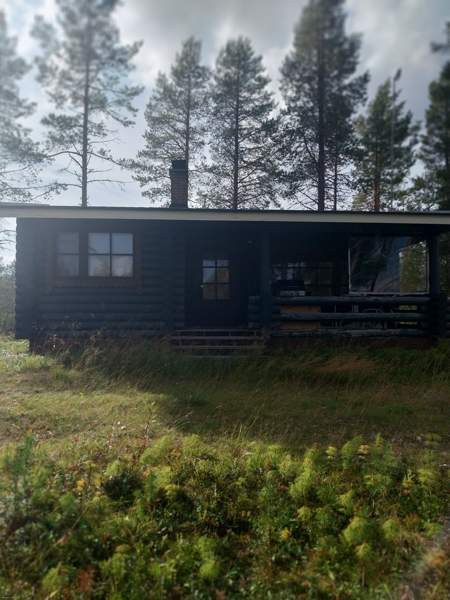 3h + avok + s + p  Кифри - изображение 1