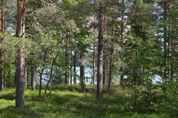 5h + k  Kuopio - valokuva 8