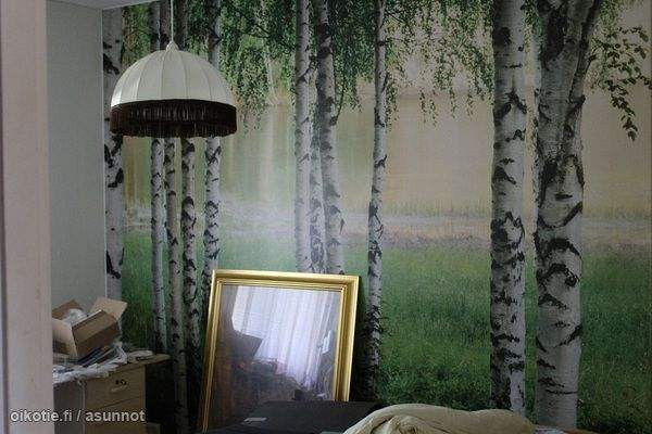 2h + s  Virrat - valokuva 4