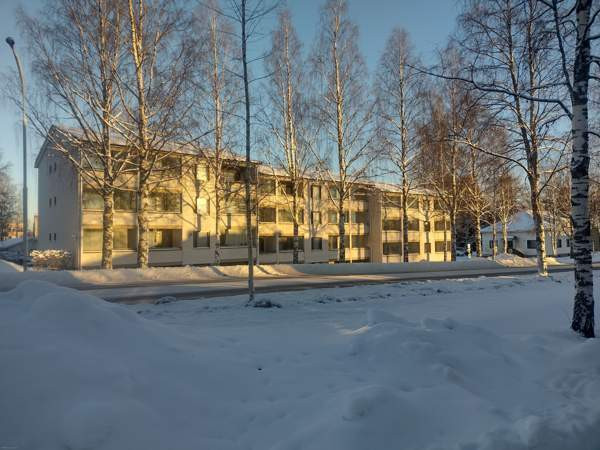 1h +k+ s + p  Nurmes - valokuva 1