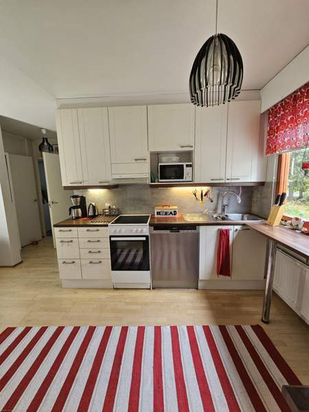 4h + avok + s  Jyvaeskylae - photo 3