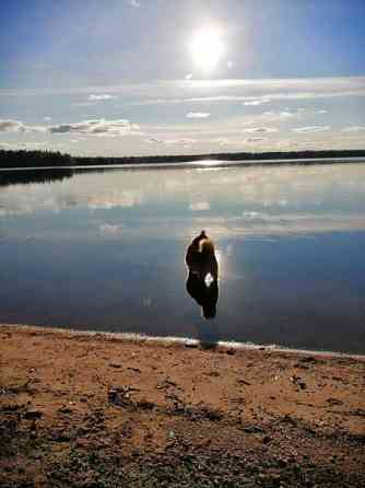 1h/parvi+kk,1h+s+ph  Ranua