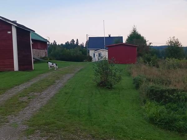 9h + avok + s  Iisalmi - valokuva 1