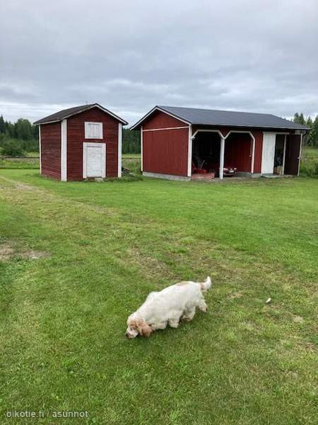 9h + avok + s  Iisalmi - valokuva 2