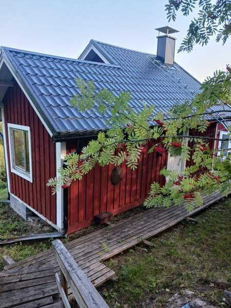 9h + avok + s  Iisalmi - valokuva 3