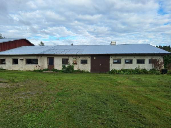 6h + k + s  Kauhava - valokuva 5