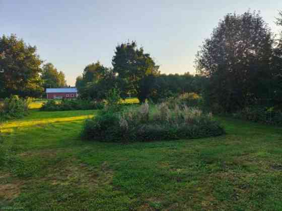 4h + k + s + kph + ws + vh + at  Suonenjoki