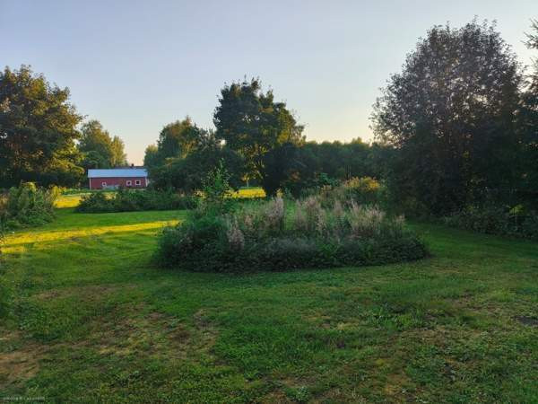 4h + k + s + kph + ws + vh + at  Suonenjoki - photo 4