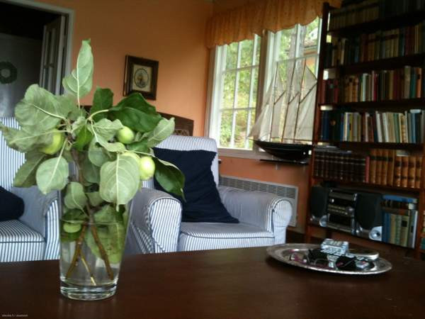 4h+k+kellari +erillinen saunarakennus  Laensi-Turunmaa - valokuva 7