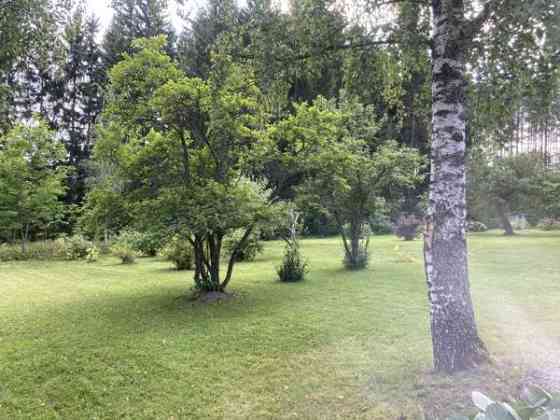 8h + k + s + khh  Imatra