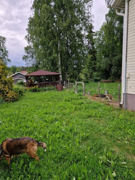 4h + s+ kph + wc + et + takkahuone  Valkeakoski – foto 5