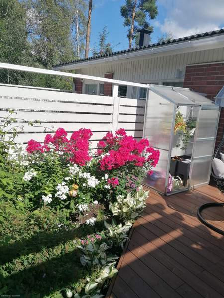 2h + k + s  Mänttä-Vilppula - photo 2