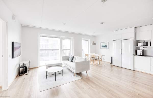 4h + avok + s + p  Helsinki - valokuva 4