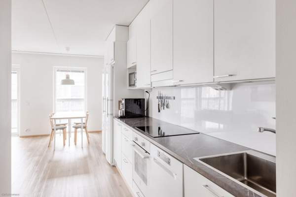 4h + avok + s + p  Helsinki - valokuva 5