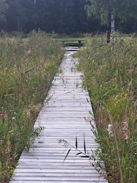 3h + s  Pälkäne - valokuva 8