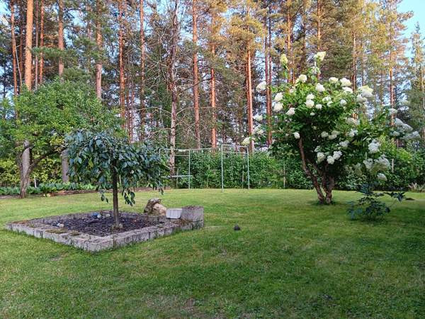 4h + k + s  Imatra - valokuva 8