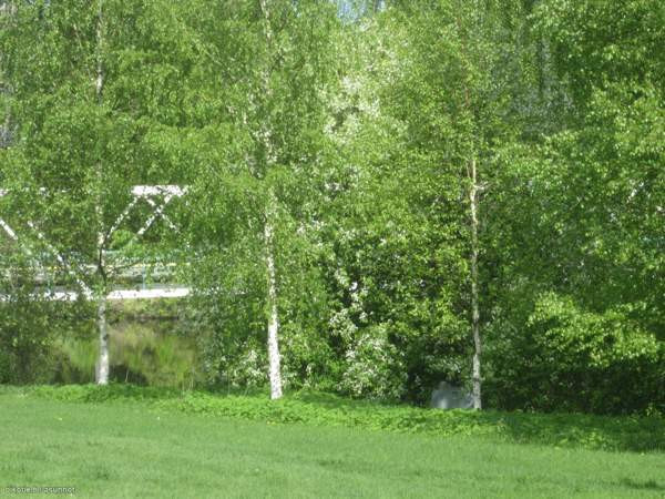 2h+k+vh  Tohmajärvi - изображение 1