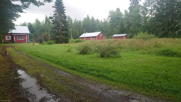 3h + k  Запорожская область - изображение 1