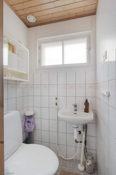 4h + avok + s  Lovisa - valokuva 3