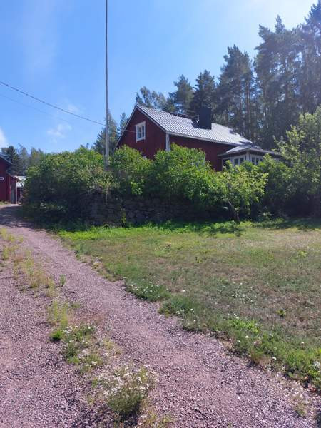 4h + avok + s  Lovisa - valokuva 1