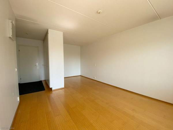 1h + kk + s + p  Jaervenpaeae - photo 4