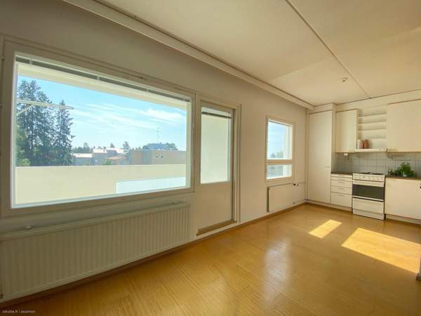 1h + kk + s + p  Jaervenpaeae - photo 1