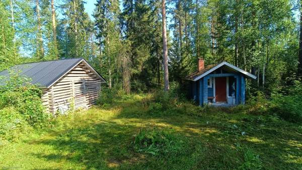 5h + k + s  Vimpeli - valokuva 4