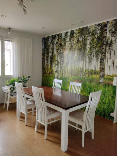 4h+k,khh,sauna,2wc,varasto,autotalli,ulkovarasto  Orimattila - photo 6