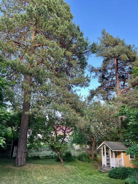 4h + k + s  Chukotskiy Avtonomnyy Okrug - photo 4