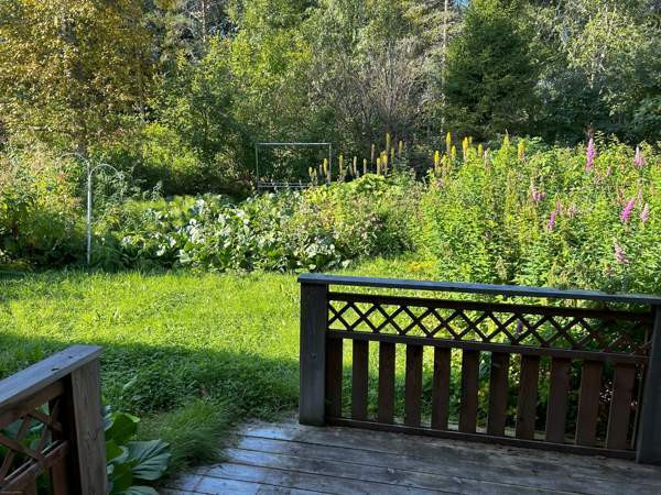 3h + k + s  Kemijärvi - изображение 4