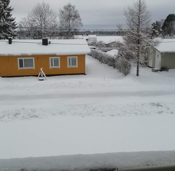 2h + s + p  Pielavesi – foto 6