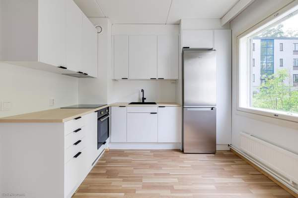 3h + p  Helsinki - photo 1