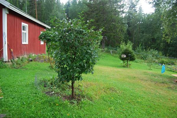 2h  Вихти - изображение 2