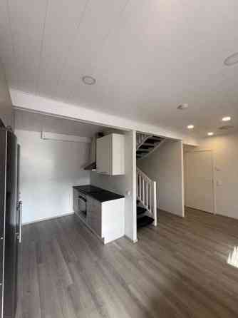 5h + k + p  Lempaeaelae