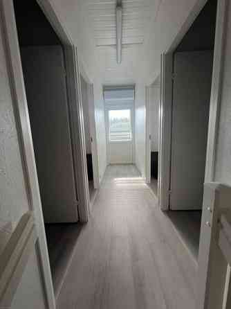 5h + k + p  Lempaeaelae