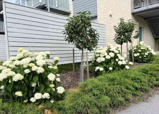 4H+K+KPH+WC+S+P+TERASSI+PIHA  Вантаа