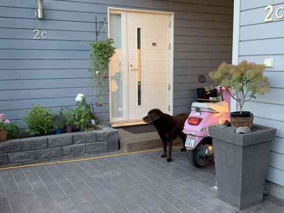 4 huonetta + olohuone + k + ruokatila, eteinen, 2  Helsinki