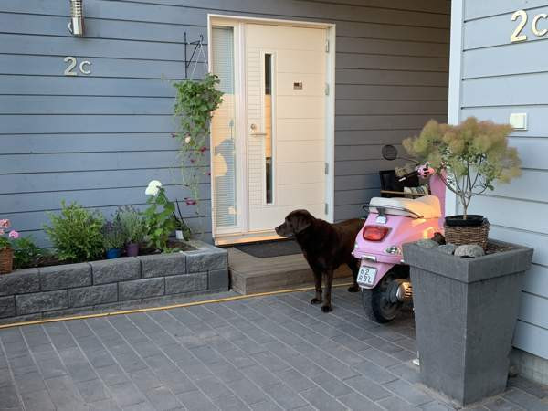 4 huonetta + olohuone + k + ruokatila, eteinen, 2  Helsinki – foto 2