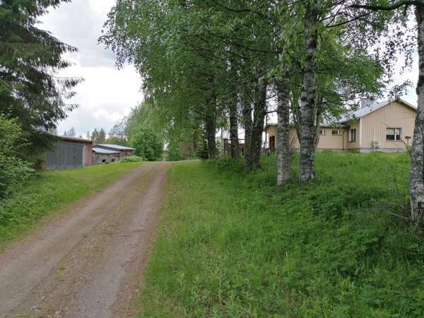 4h + avok + s  Ilomantsi - valokuva 4