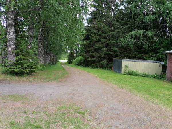 4h + avok + s  Ilomantsi - valokuva 6